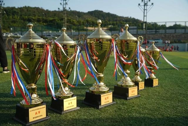 英超-哈兰德破门里科刘易斯建功 曼城2-2水晶宫